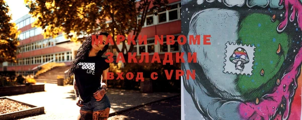 мдпв Абаза